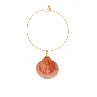 ST TROPEZ with natural Seashell