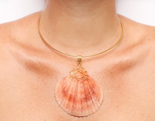 ST TROPEZ with natural Seashell