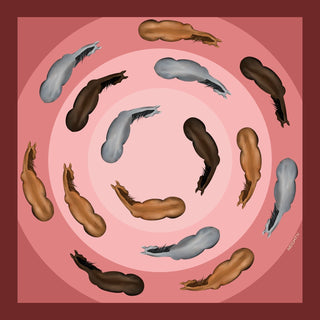 Bird View in Pink Large Scarf - Maison OrientNeightivMaison OrientScarves