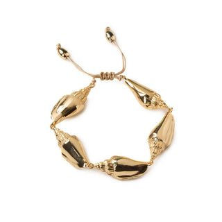 Concha Colubra Bracelet - Maison OrientTohum DesignMaison OrientJewelry